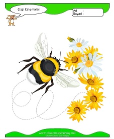 Çizgi Çalışma Sayfaları